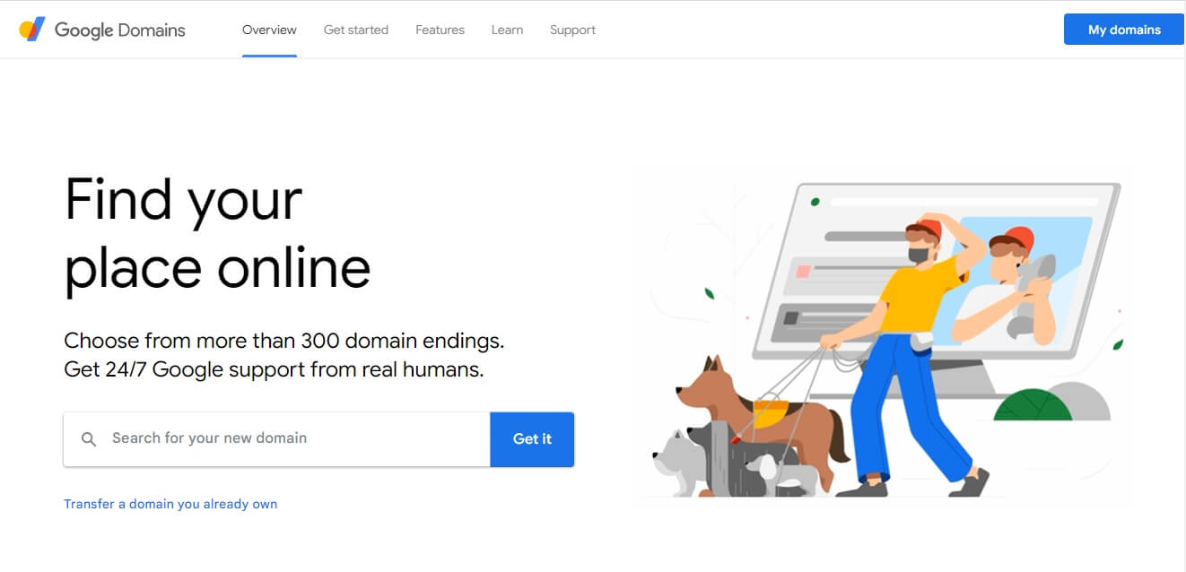 Google domain homepage